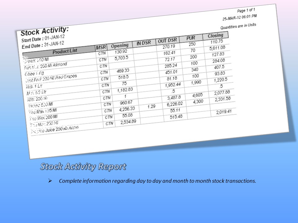 Stock Activity Report