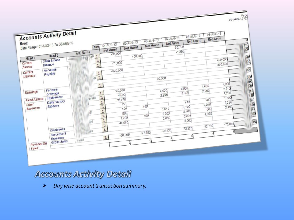 Accounts Activity Report